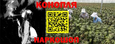 меф Краснознаменск
