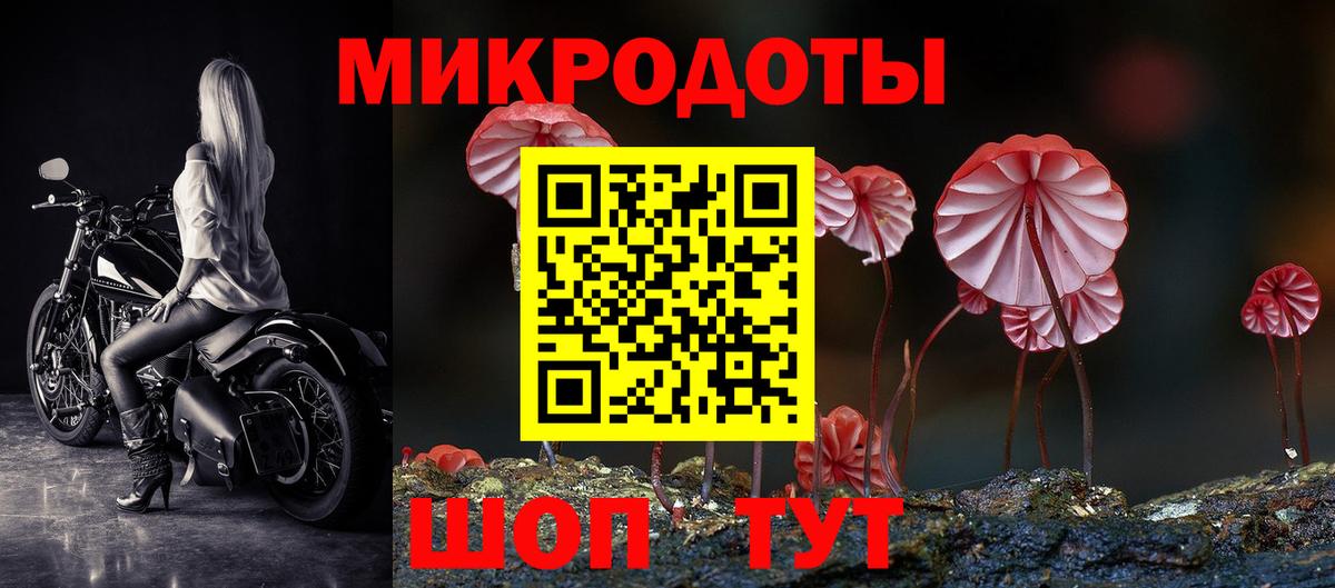Котовск  Галлюциногенные грибы MAGIC MUSHROOMS  Вход с VPN 